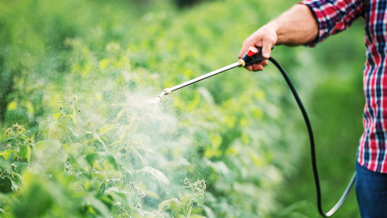 Pesticide Spray