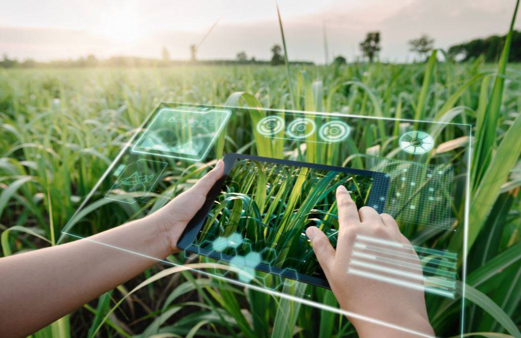 Technology in Agriculture