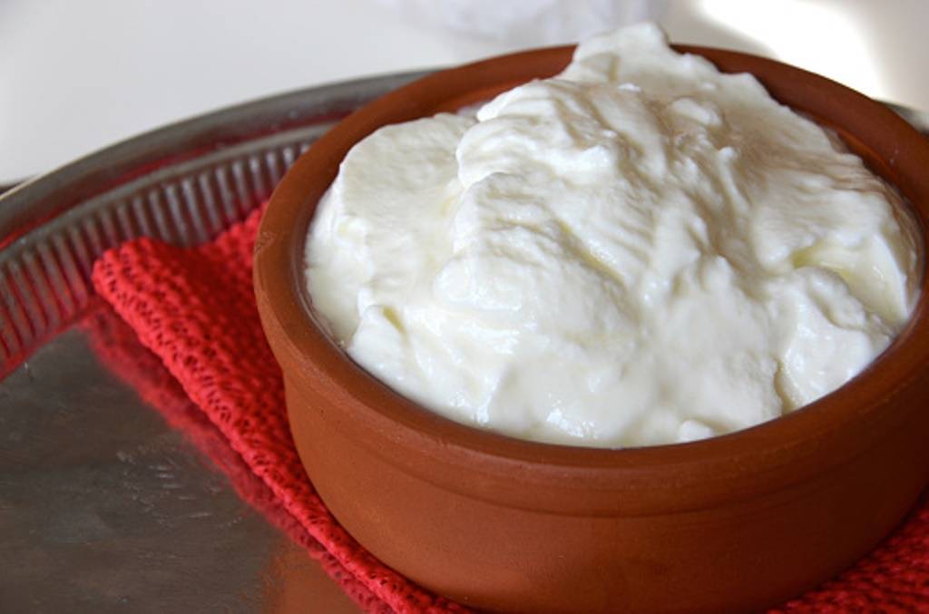 Thick and creamy curd in earthern pot