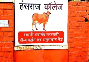 DU College Sets Up Cow Centre at Its Campus; Will Provide Milk & Curd To Students