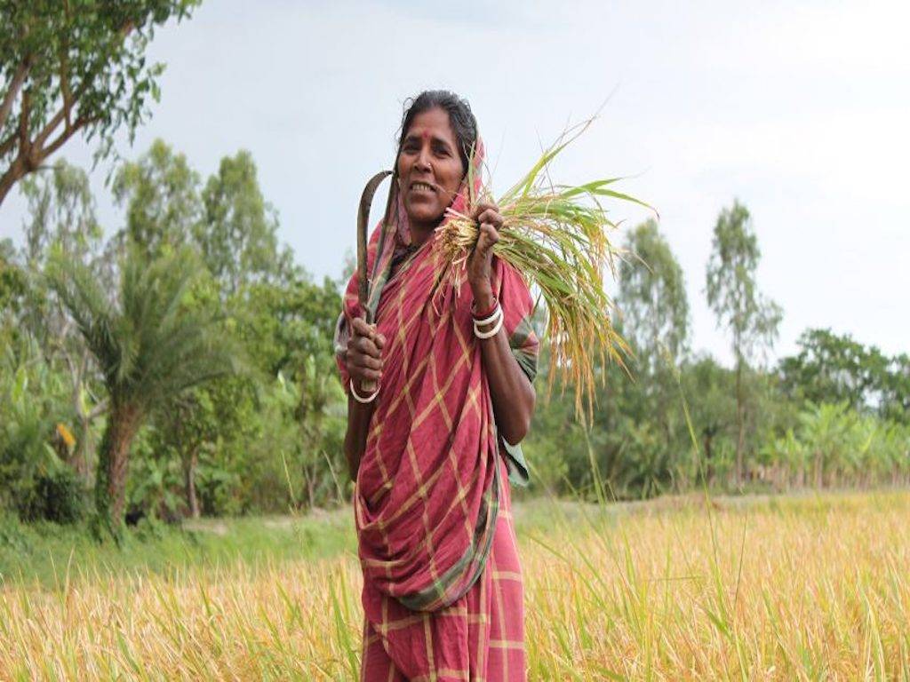 Farmer From AP