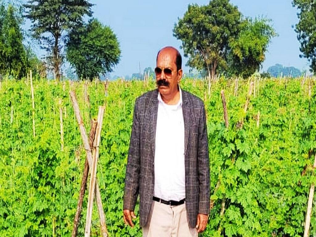 Millionaire Farmer: Who sold Tomatoes worth Rs. 8 Crore