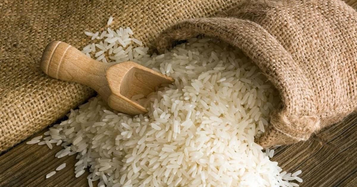 Picture of Rice