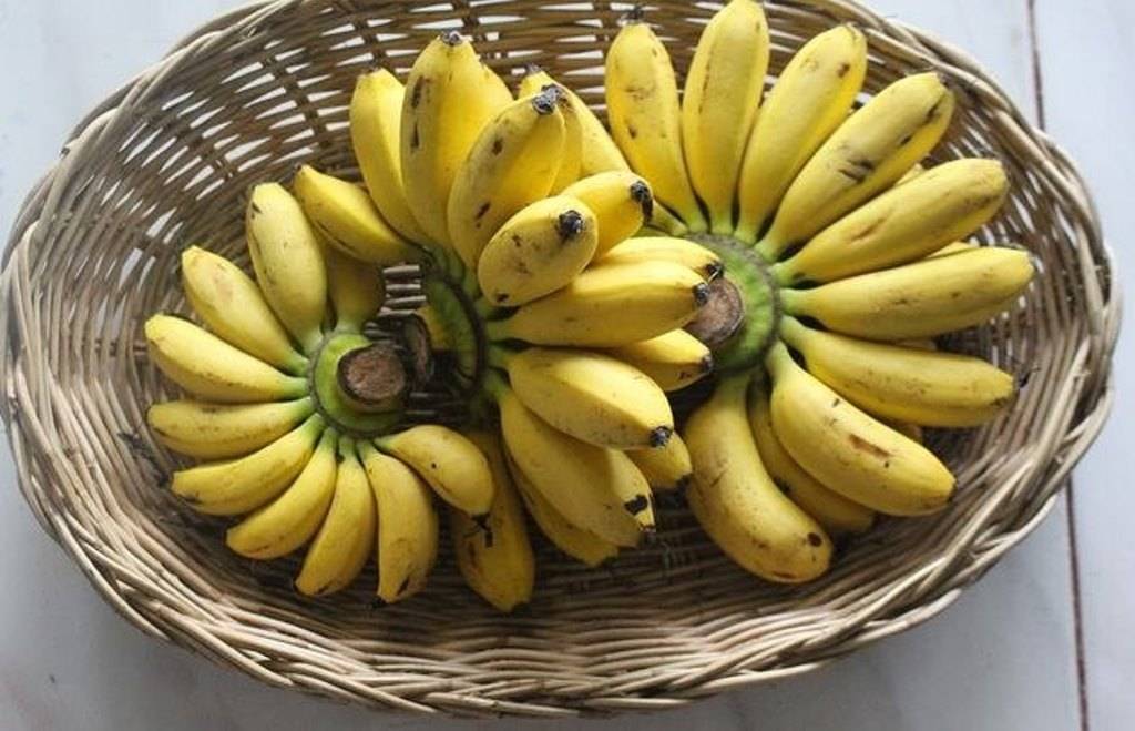 Yelakki (Elaichi) Banana in the basket