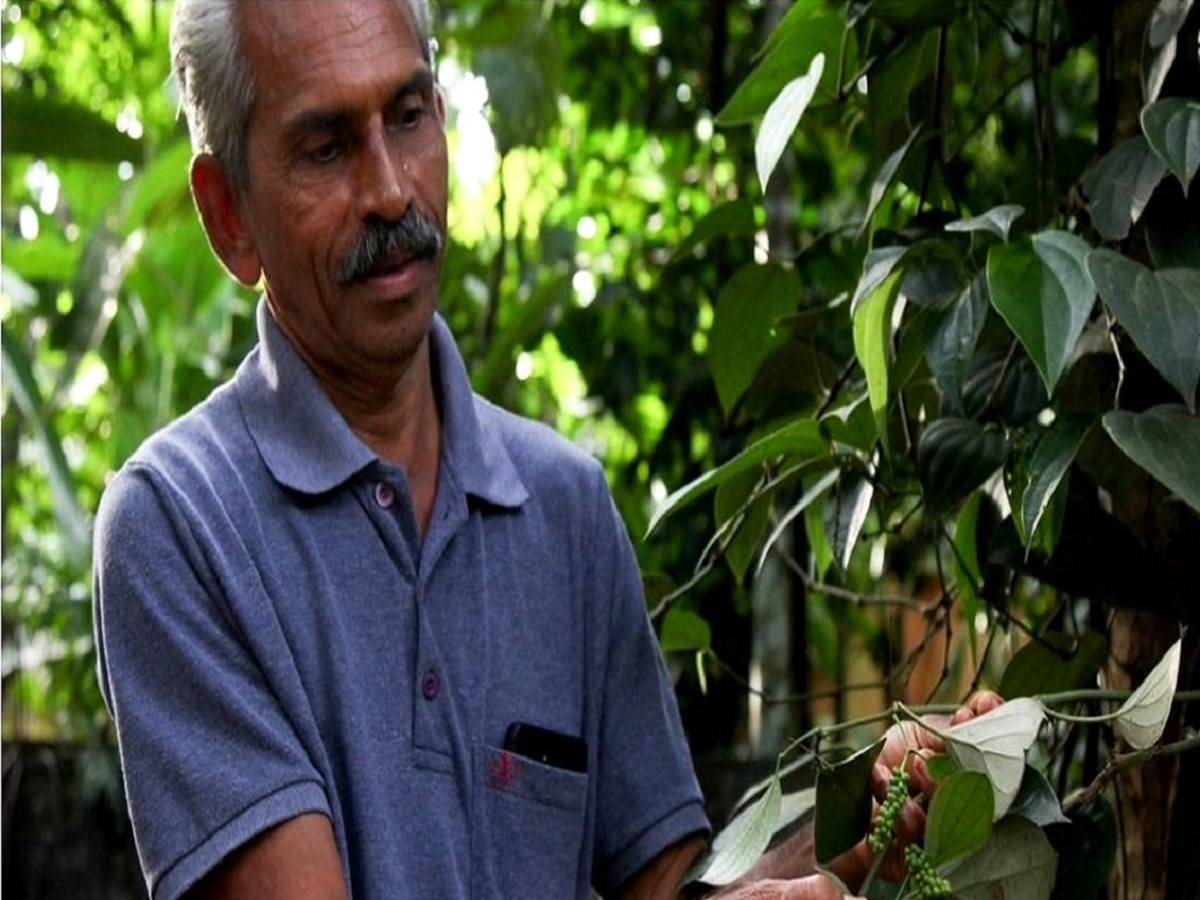 This Organic Farmer in Kerala Is Growing 100 Plant Species on Just 1 Acre of Land!