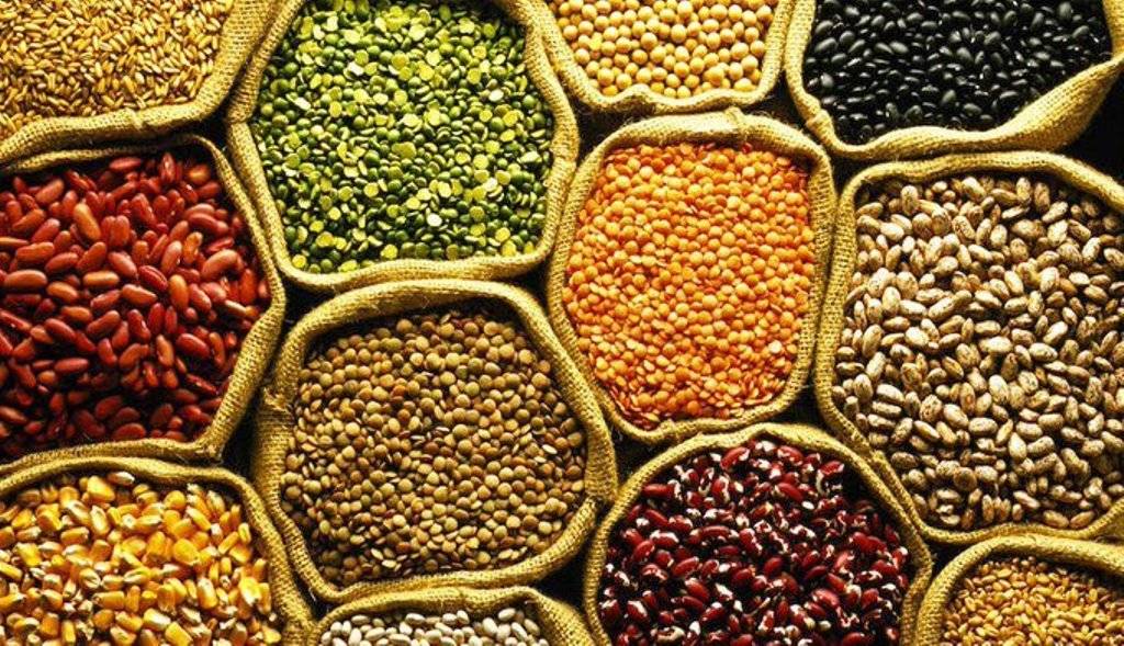 Pulses and Oilseeds