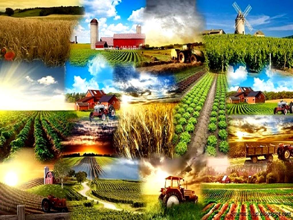 New public-private partnership (PPP) scheme for the delivery of digital and hi-tech services to farmers