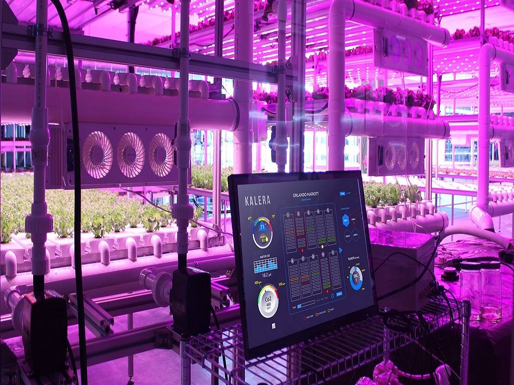 Kalera: A vertical Farming company planning for expansion