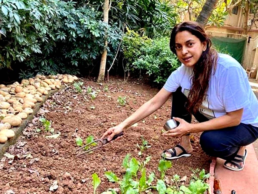 Juhi Chawla, who is well-known for her environmental activism, has discovered a new passion: farming