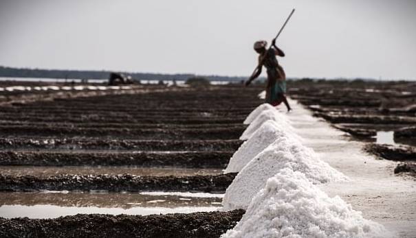Most Profitable Salt Business In India