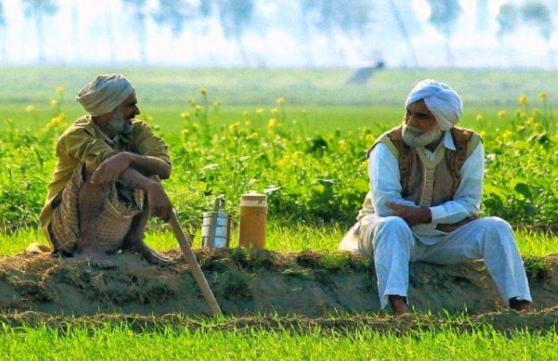 indian farmers