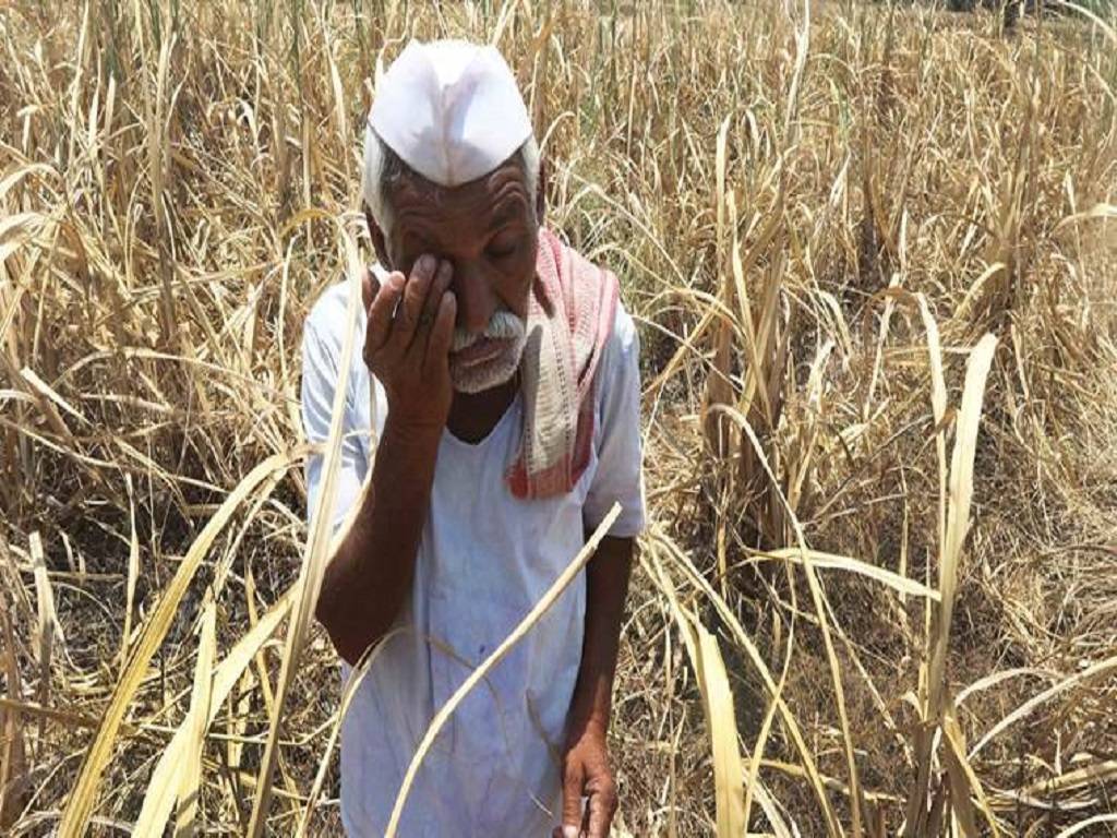 Farmers are suffering due to payment delays of PMFBY