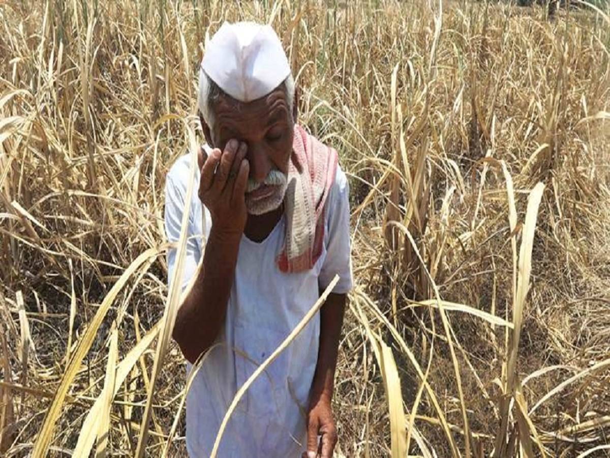 Farmers are suffering due to payment delays of PMFBY