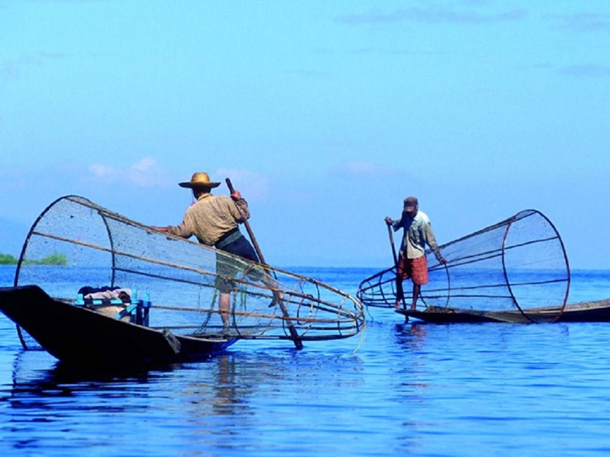 UN FAO offers a variety of Courses in the field of Fisheries and Aquaculture