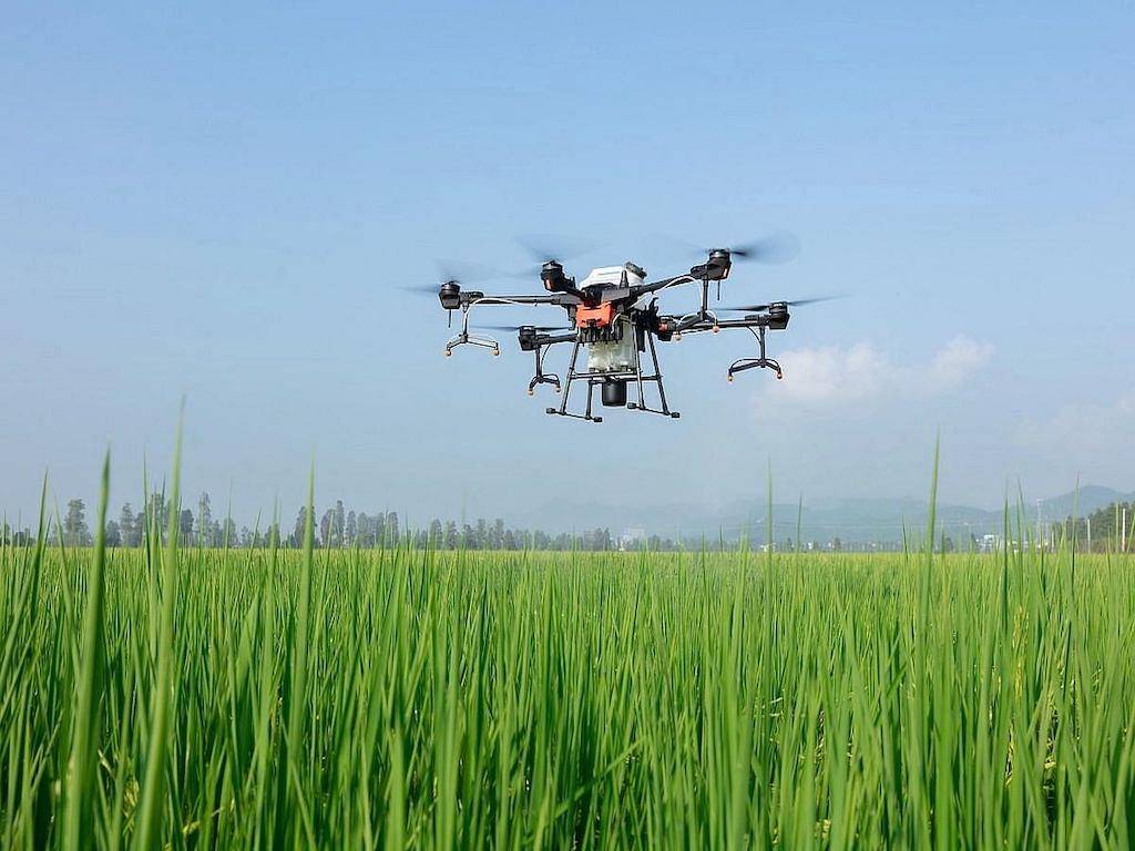 Drones in Agriculture