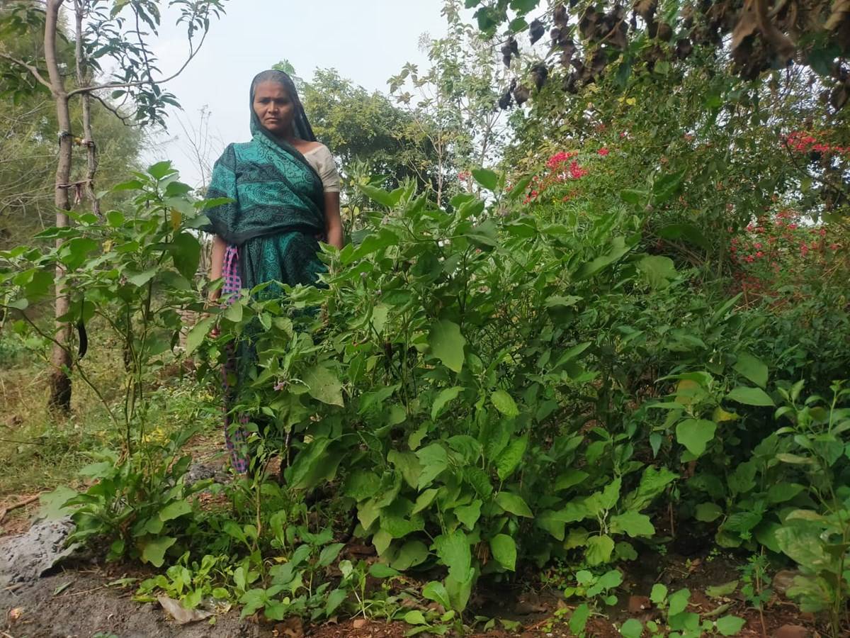 Geeta Devi, a farmer from Dharna village in Rajasthan