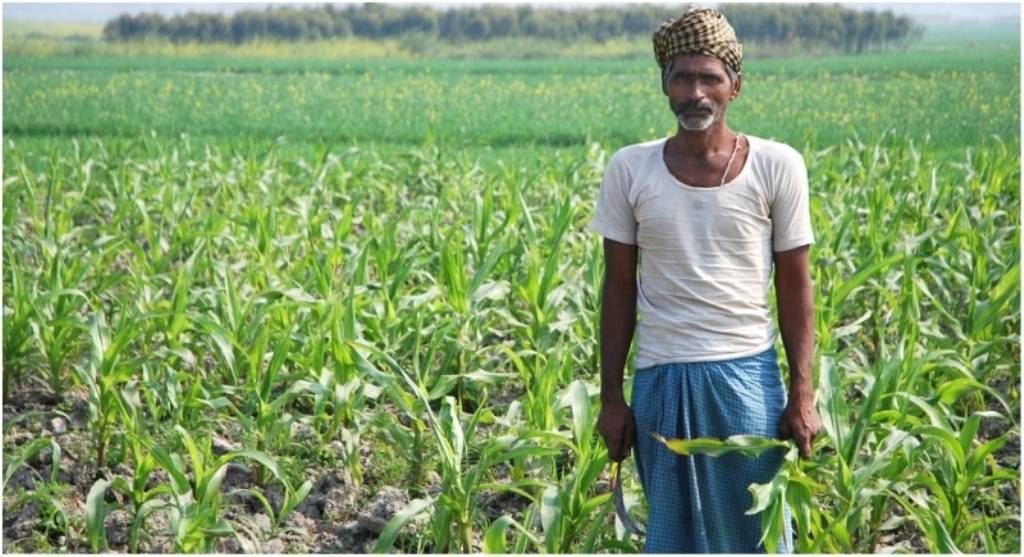 A farmer in the field