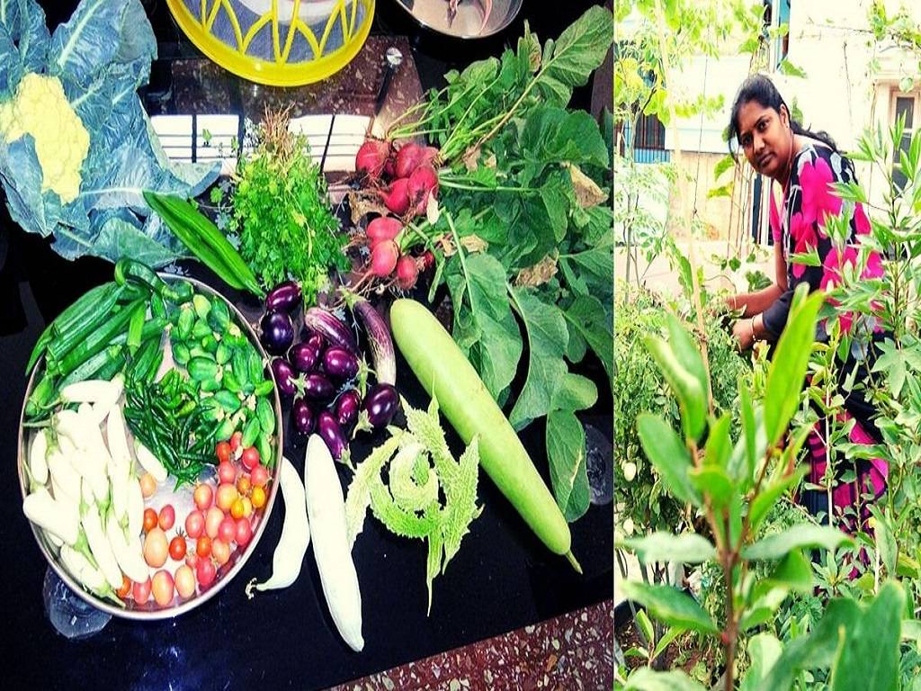 Hyderabad-based microbiologist transformed her balcony into a paradise for her family!