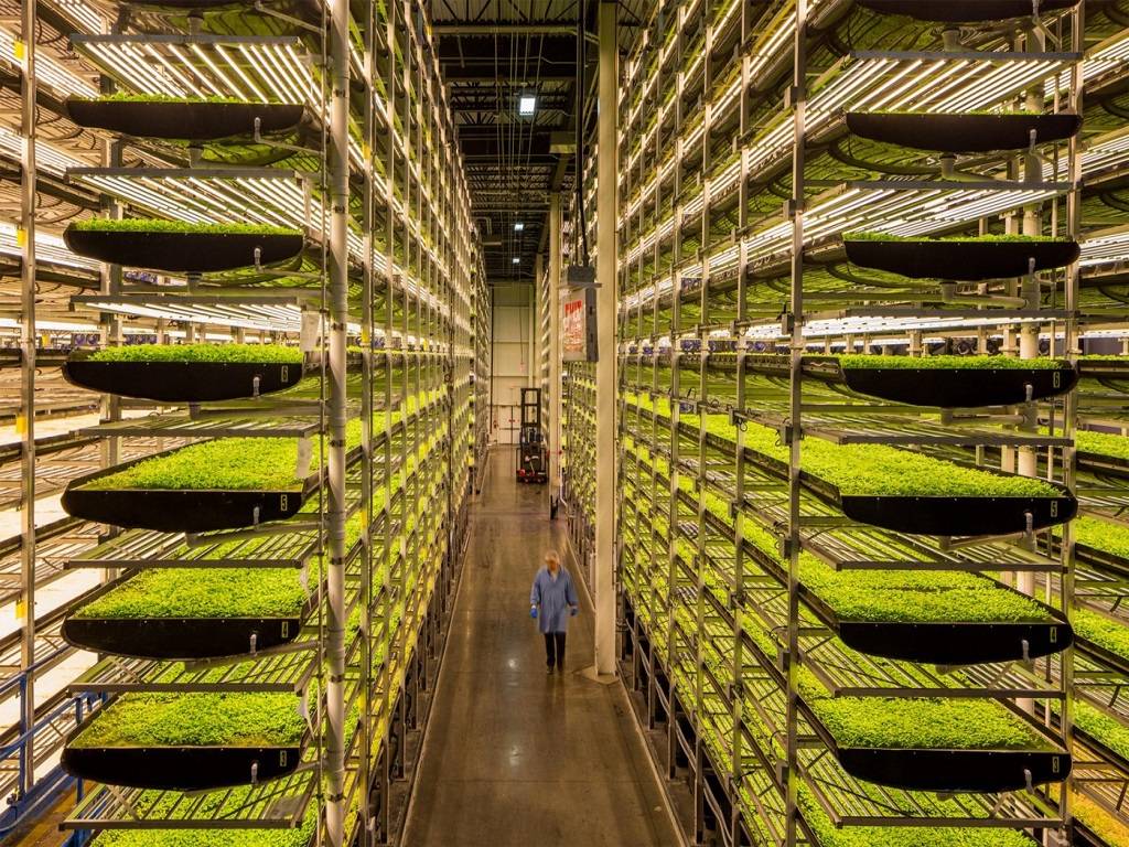 Hi-Tech Vertical Farms