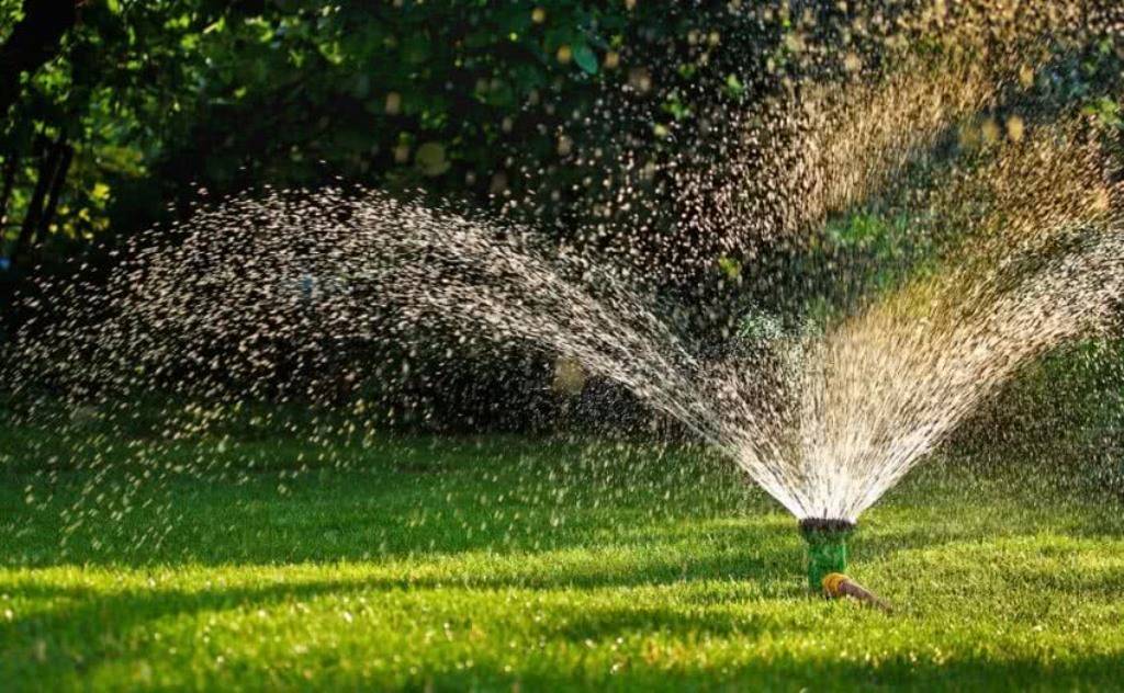 Sprinkler in the field