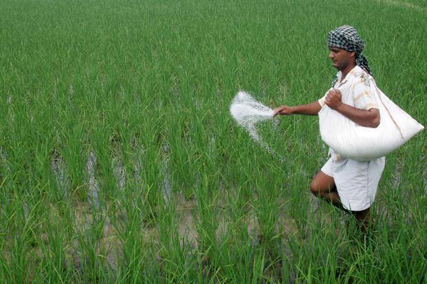 Farmer taking care of his field