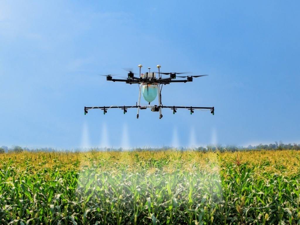 Drone Spraying Pesticide