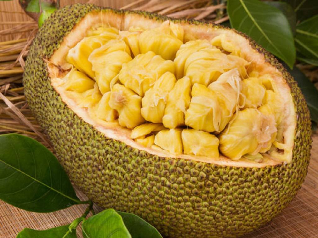 Jackfruit