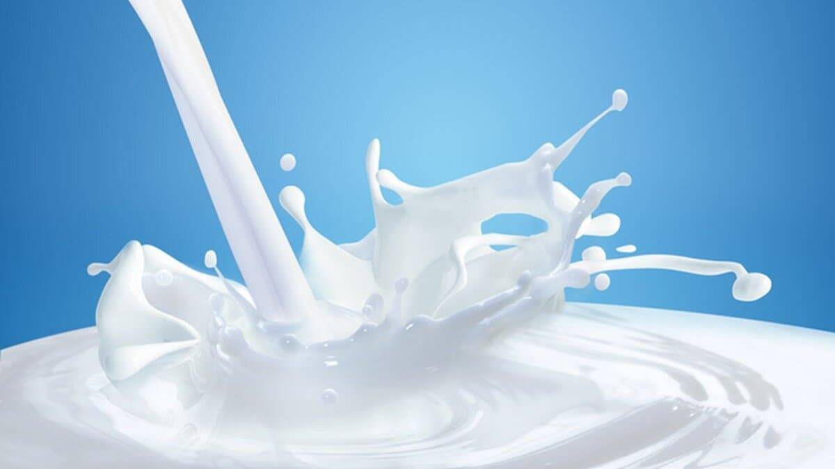 Picture of Milk