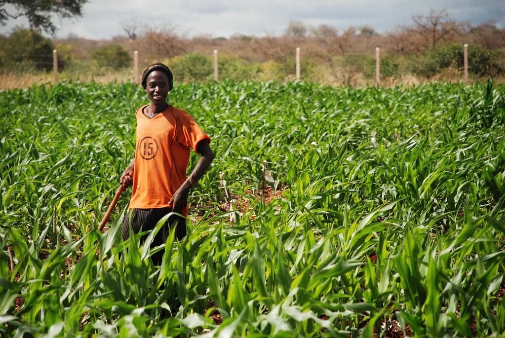 Picture of Ethiopian Farmer