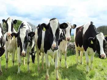 Modern Dairy Technologies for Farmers