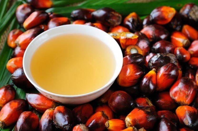 Palm Oil