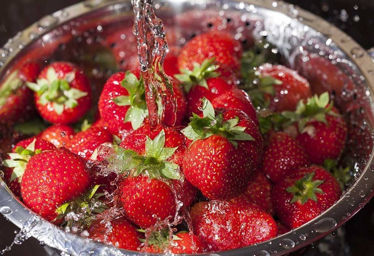 Washing Strawberries