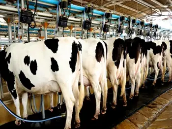 Dairy Cooperative Veterans Oppose Proposed National Dairy Development Board Amendment Act