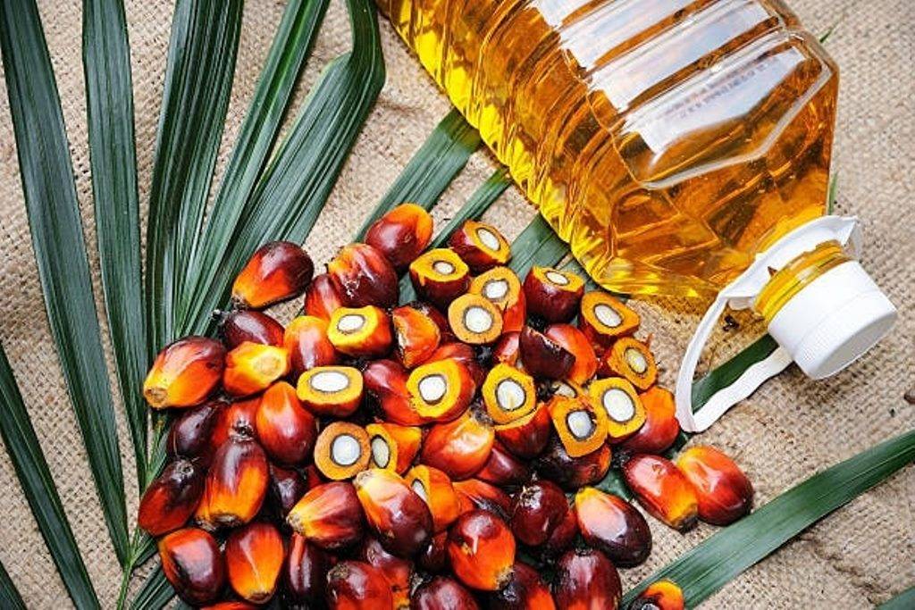 Palm Oil