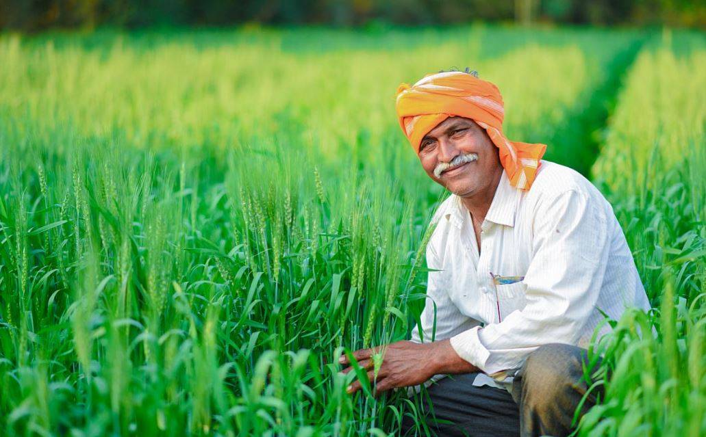 Farmer in his field