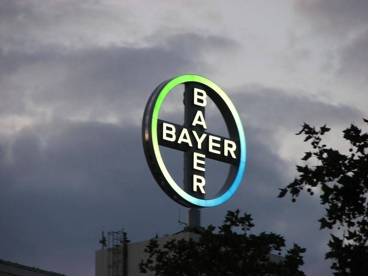 Logo of Company Bayer