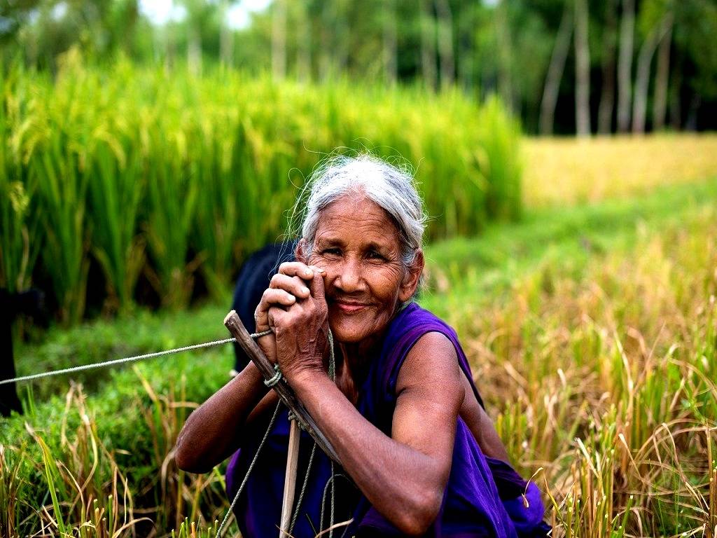 Kellogg has established itself as a dedicated partner to farmers in developing climate-positive farming techniques in crucial crops