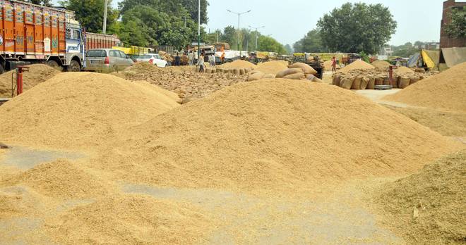 A Typical View of Selling Wheat in Mandi