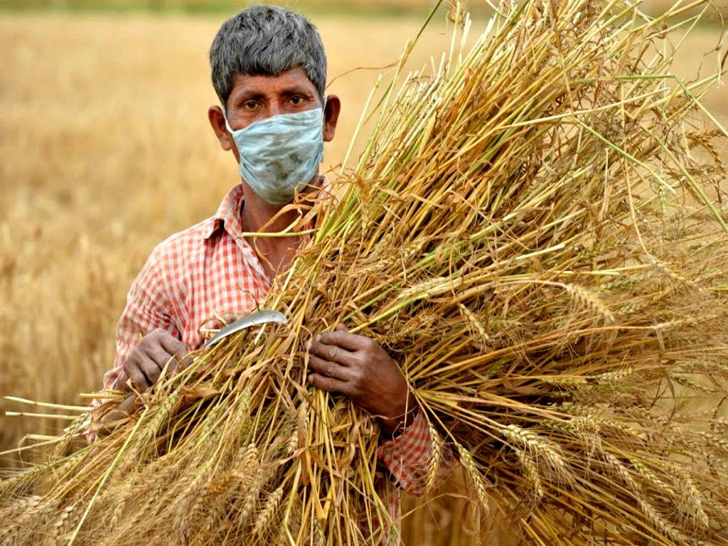 State Sugarcane Growers' Association has advocated for health insurance for the families of all sugarcane growers in the state