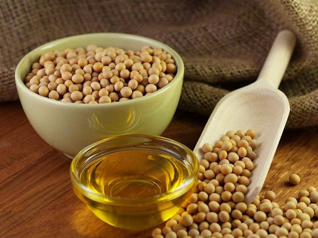 Soya-bean and its oil