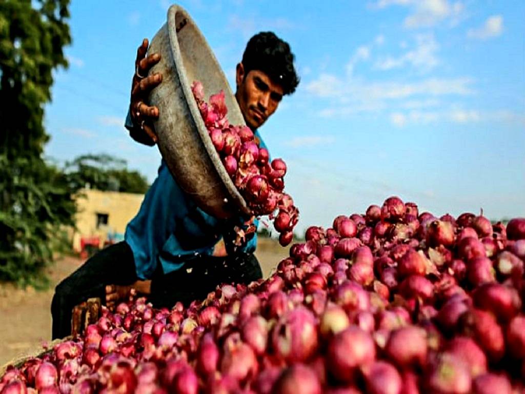 Bumper crop of fresh onions is predicted to flood the state's markets by March of this year