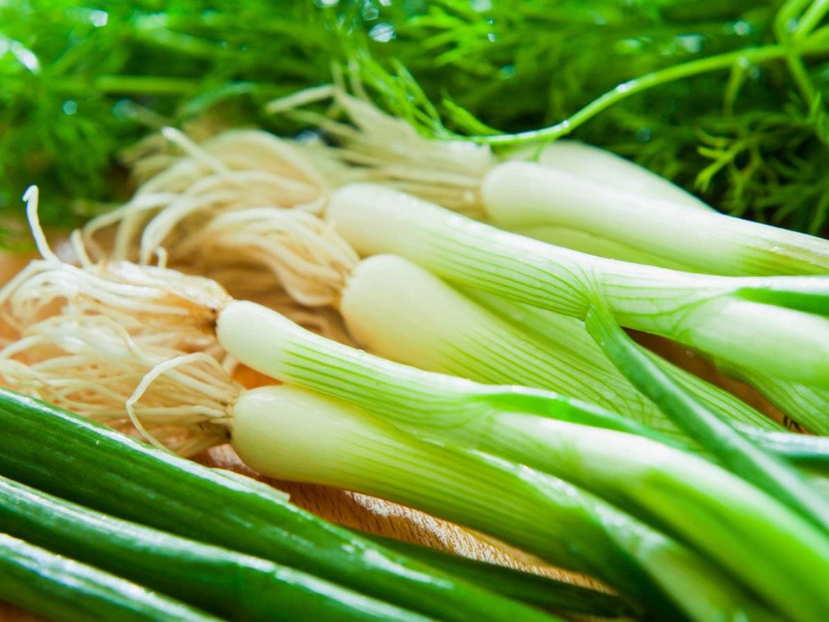 Spring Onions