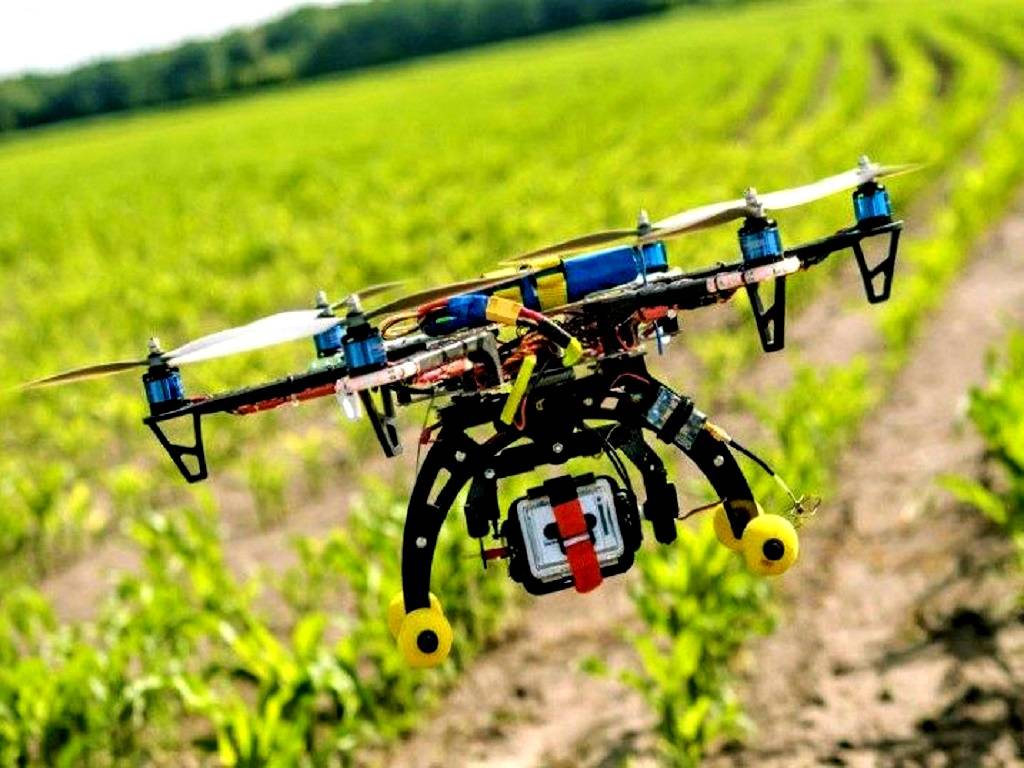 IIIT Naya Raipur taps drones to detect crop diseases, curb pesticide overuse