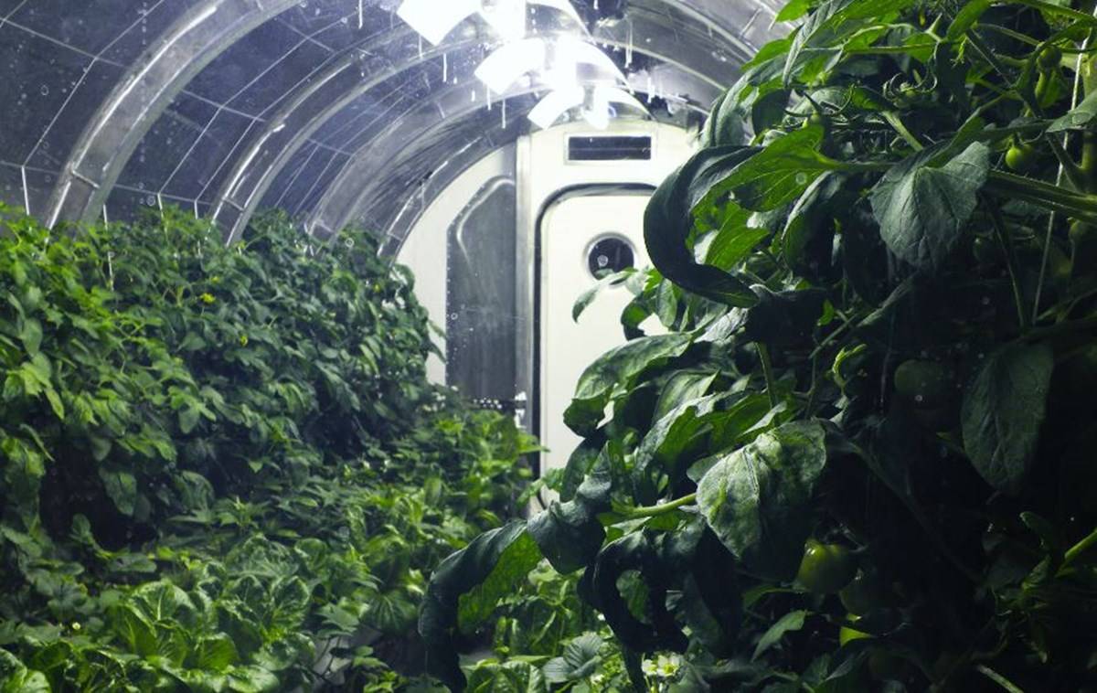 Picture of Mini- Greenhouse (Pic Credit- NASA)