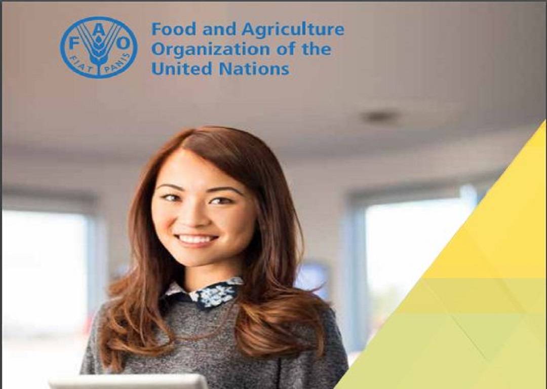 FAO Internship Opportunity 2022
