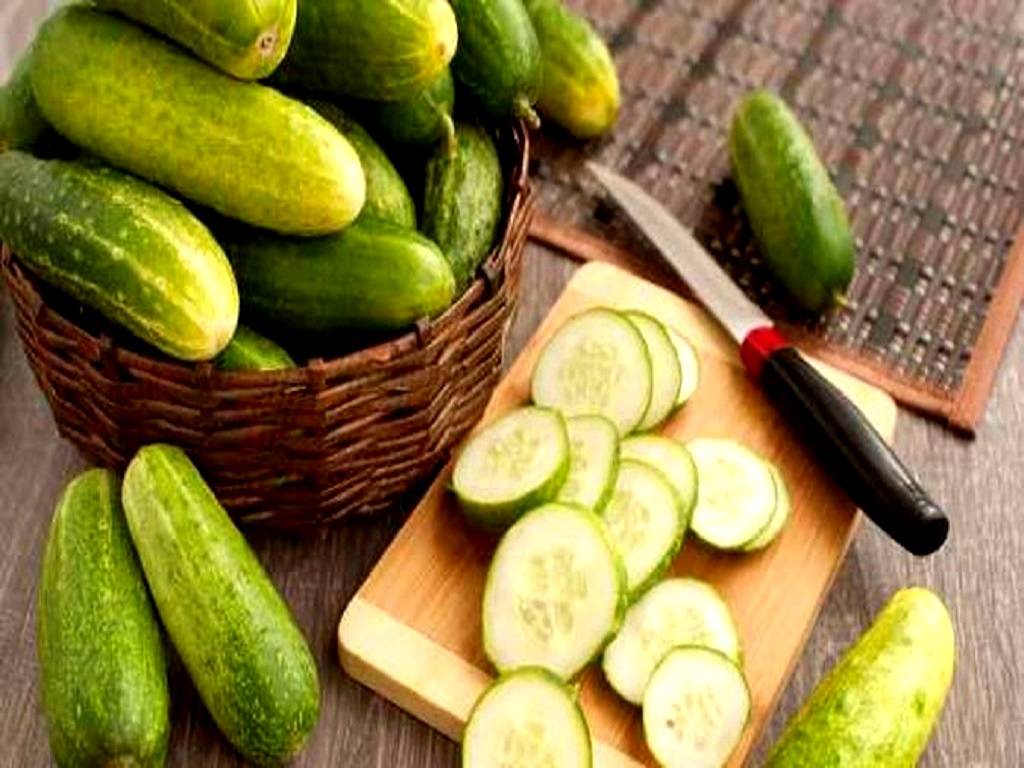 Heera and Shubhra are salad cucumber hybrids that may be grown in both rain shelter and open conditions
