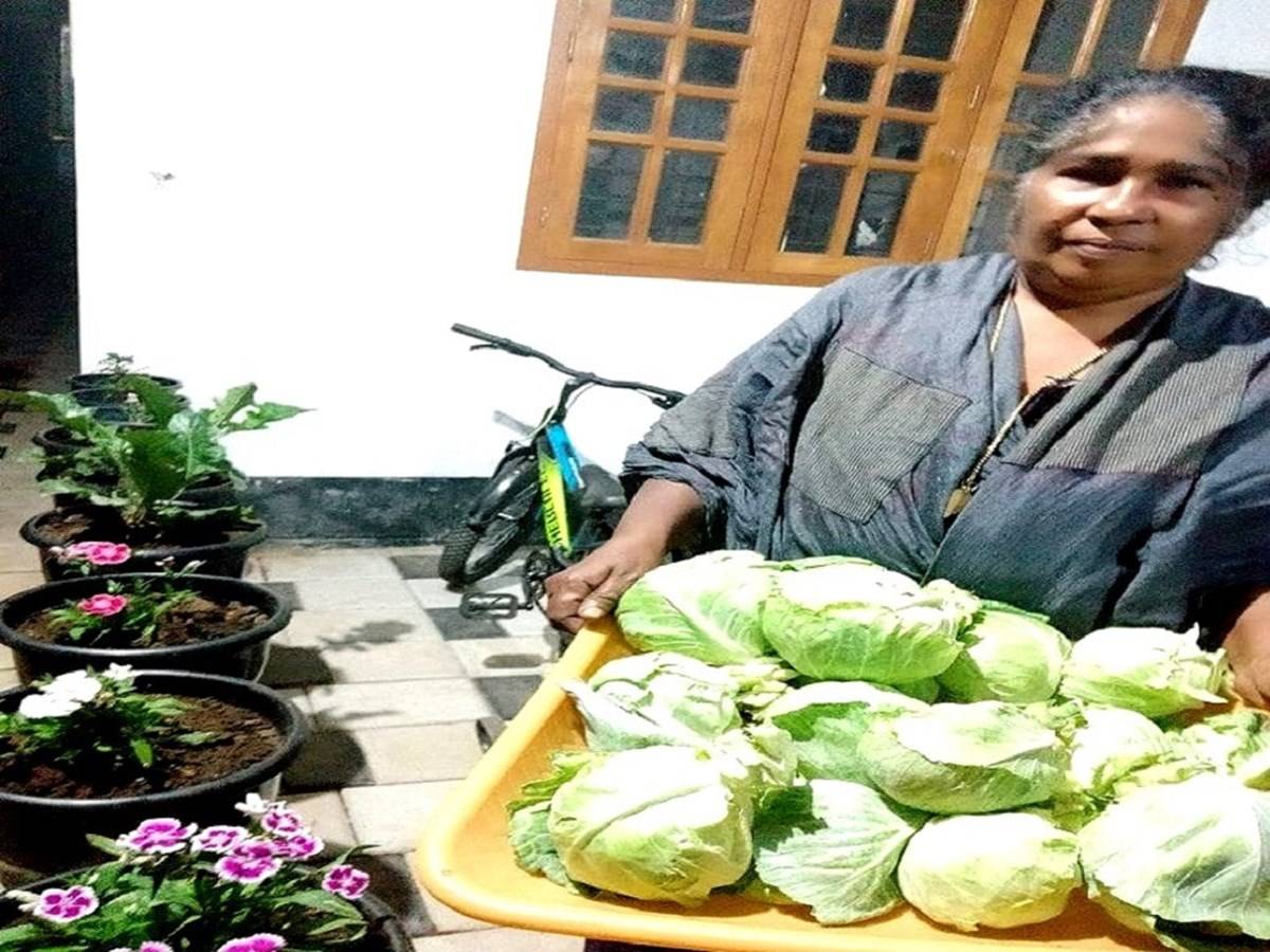 Unlike many terrace farmers, Sugandha chose paddy farming over vegetables