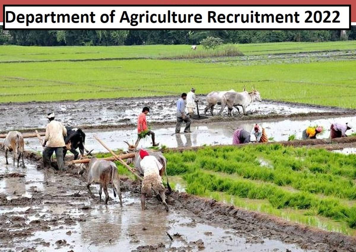 Department of Agriculture Recruitment 2022