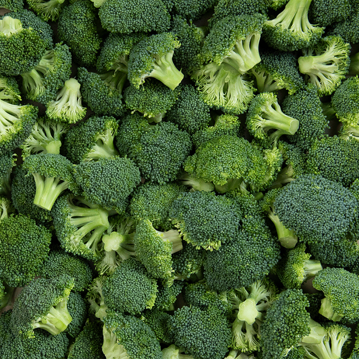 Broccoli : A rich source of Antioxidants