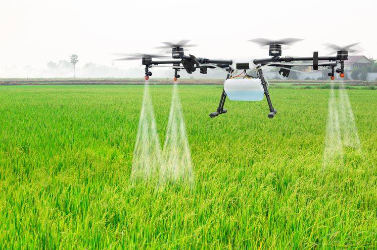 Pesticide Spraying by Drones in Field